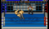 Shin Nihon Pro Wresling Kounin – ’94 Battlefield in Tokyo Dome (Japan)