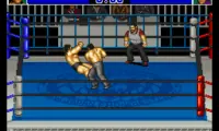Shin Nihon Pro Wresling Kounin – ‘94 Battlefield in Tokyo Dome (Japan)