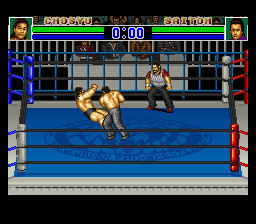 Shin Nihon Pro Wresling Kounin – ’94 Battlefield in Tokyo Dome (Japan)