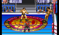 Shin Nihon Pro Wresling Kounin – ’95 Tokyo Dome Battle 7 (Japan)
