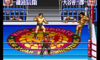 Shin Nihon Pro Wresling Kounin – ‘95 Tokyo Dome Battle 7 (Japan)