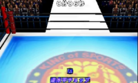 Shin Nihon Pro Wrestling Toukon Road 2 – The Next Generation (Japan)