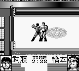 Shin Nihon Pro Wrestling – Toukon Sanjuushi (Japan)