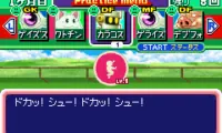 Shiren Monsters Netsal (J)(Rising Sun)
