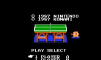 Smash Ping Pong (Japan)