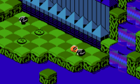 Snake Rattle n Roll (Europe)