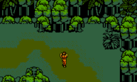 Snake’s Revenge (Europe)