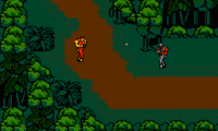 Snake’s Revenge (USA)