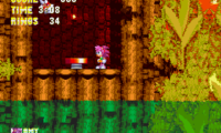 Sonic 3 and Amy Rose