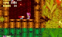 Sonic 3 and Amy Rose