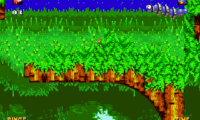 Sonic 3 & Knuckles Chaotix Edition