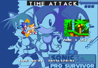Sonic 3 & Knuckles – Pro Survivor