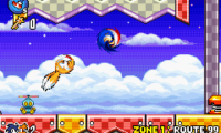 Sonic Advance 3 (J)(Cezar)