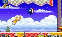 Sonic Advance 3 (J)(Cezar)