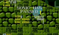 Sonic in Colored Zone