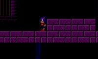 Sonic is alone.