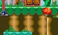 Sonic Rush Adventure (Europe) (En,Ja,Fr,De,Es,It)