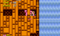 Sonic the Hedgehog 2 Pink Edition