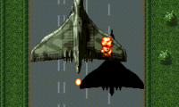Sonic Wings (Japan)