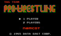 Special Tag Team Pro Wrestling (Japan)