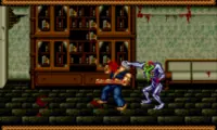 Splatterhouse 3 (USA)