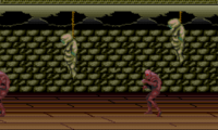 Splatterhouse (Japan)