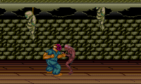 Splatterhouse (USA)