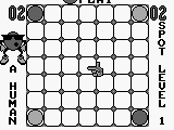 Spot (USA)