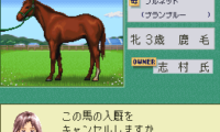 Stable Star – Kyuusha Monogatari (Japan)