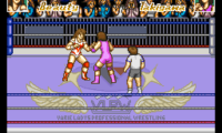 Stardust Suplex (Japan)