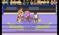 Stardust Suplex (Japan)