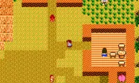Startropics (Europe)