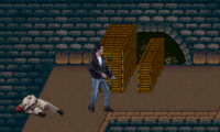 Steven Seagal Is The Final Option (USA) (Proto)