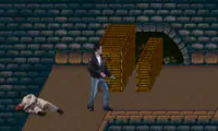 Steven Seagal Is The Final Option (USA) (Proto)
