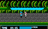 Street Cop (USA)