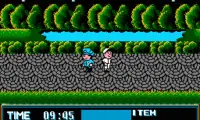 Street Cop (USA)
