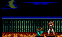 Street Fighter II (Brazil)