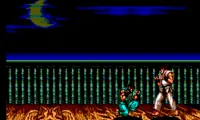 Street Fighter II (Brazil)