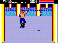 Sukeban Deka II – Shoujo Tekkamen Densetsu (Japan)