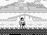 Sumo Fighter (USA)