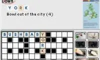 Sun Crossword Challenge, The (Europe)