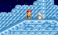 Super Adventure Island II (USA)