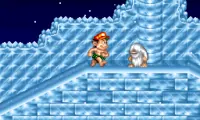 Super Adventure Island II (USA)