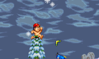 Super Adventure Island (USA)