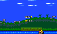 Super Air Zonk