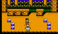 Super Chinese 3 (Japan)