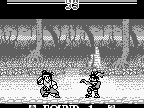 Super Chinese Fighter GB (Japan)