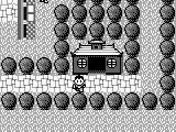 Super Chinese Land 3 (Japan)