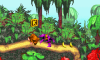 Super Donkey Kong (J)(Rising Sun)