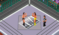 Super Fire Pro Wrestling III – Easy Type (Japan)